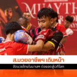 มวยอาชีพ