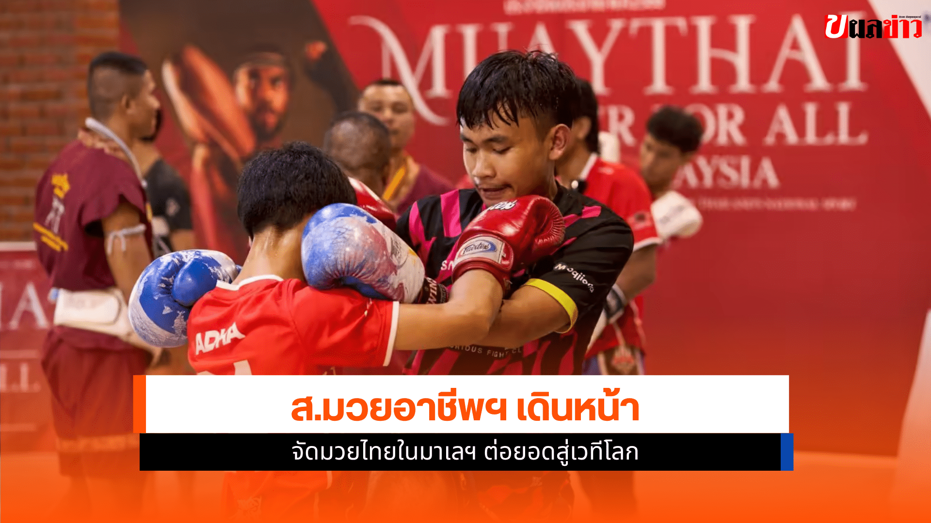 มวยอาชีพ