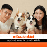 ต้น นฤบดินทร์