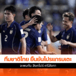 โปรแกรมฟีฟ่า เดย์