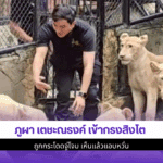 ภูผา เตชะณรงค์