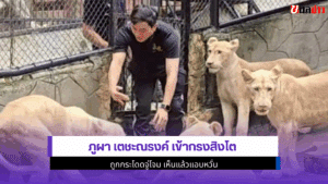 ภูผา เตชะณรงค์