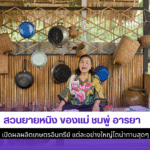 ยายหนิง