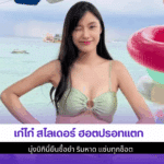 เก๋ไก๋ สไลเดอร์