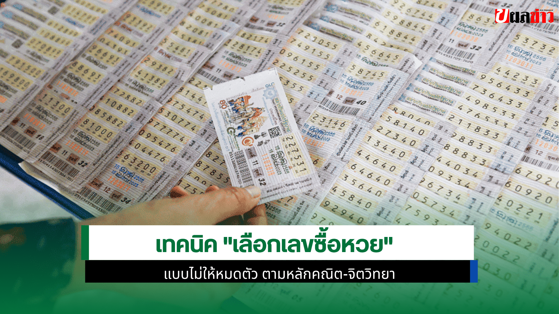 เลือกเลขซื้อหวย