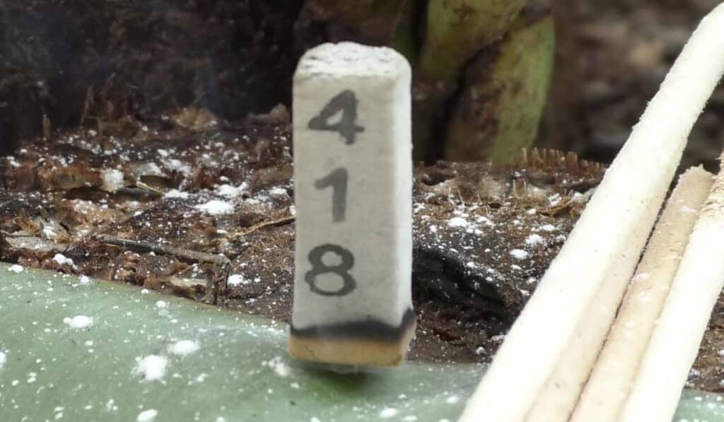 เลขเด็ด แม่น้ำหนึ่ง