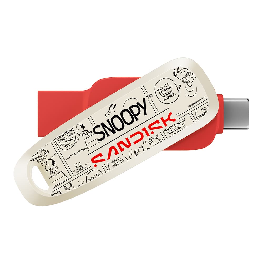 SANDISK