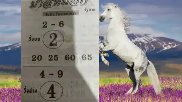 ม้าสีหมอก