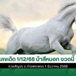 ม้าสีหมอก