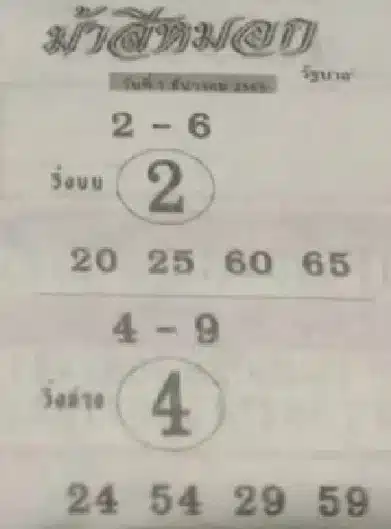 ม้าสีหมอก