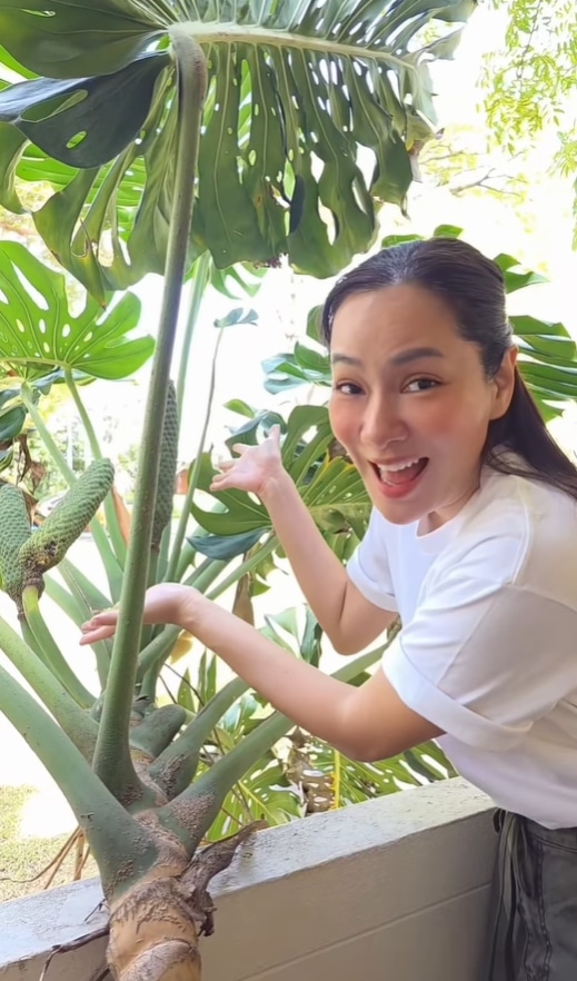 จอย รินลณี