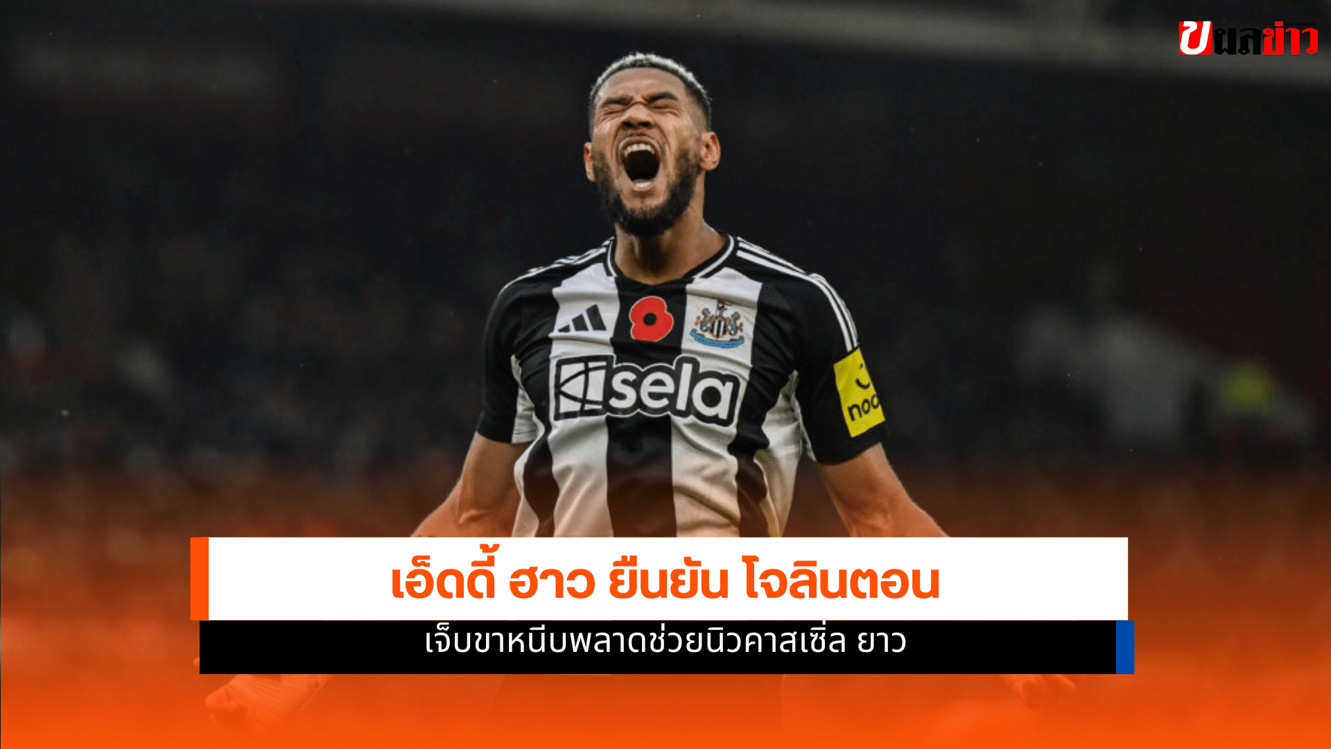 นิวคาสเซิ่ล