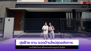 ปุยฝ้าย