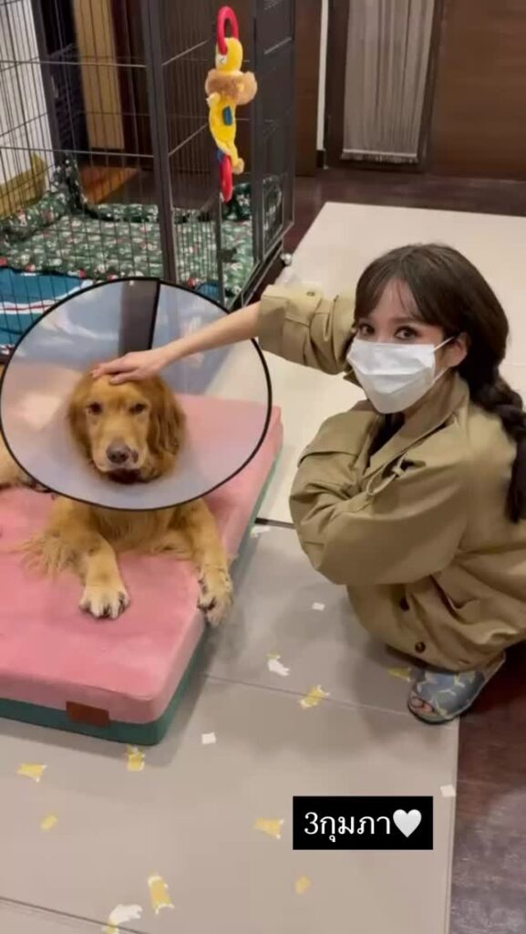 ไฮโซพก