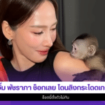 อั้ม พัชราภา