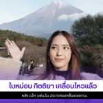 ใบหม่อน