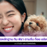 ทิม พิธา