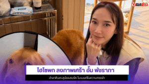 ไฮโซพก