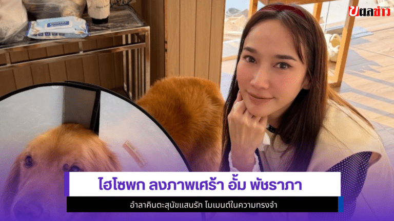 ไฮโซพก