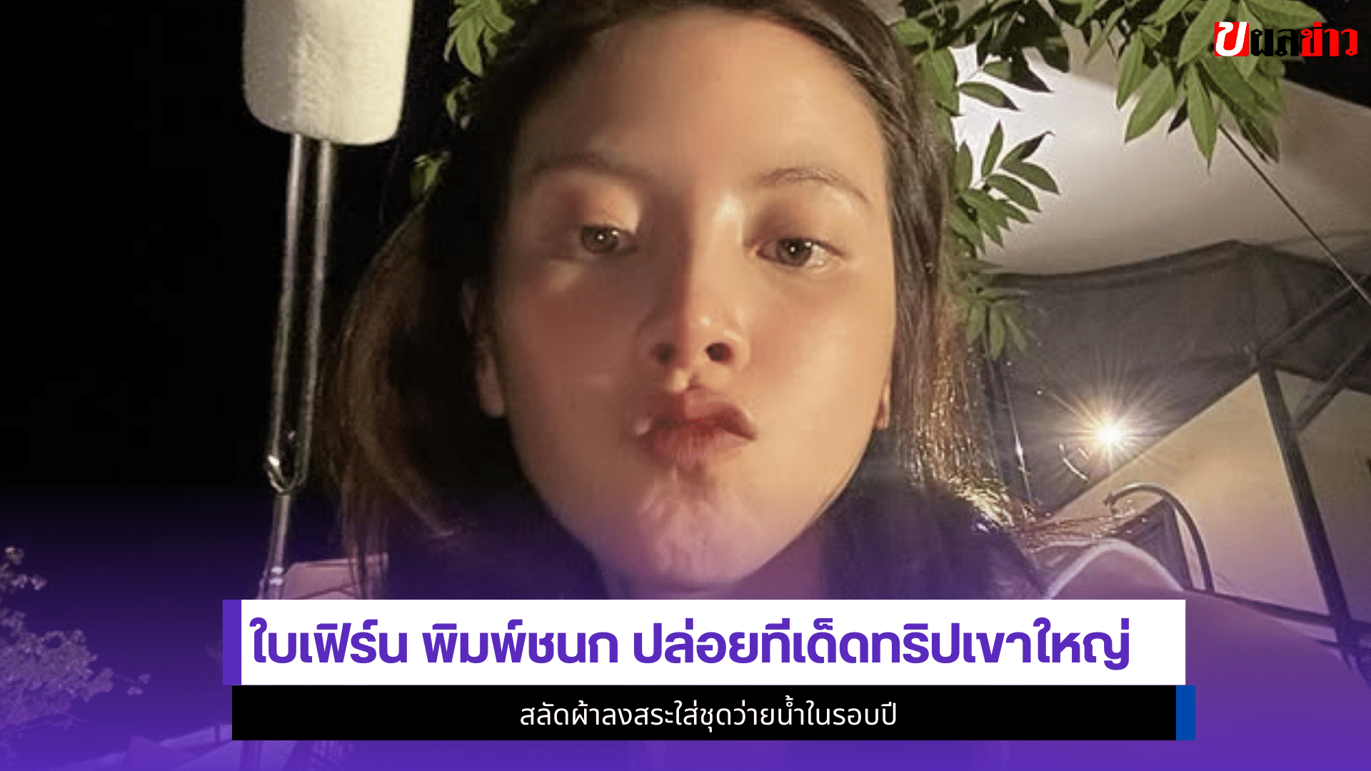 ใบเฟิร์น พิมพ์ชนก