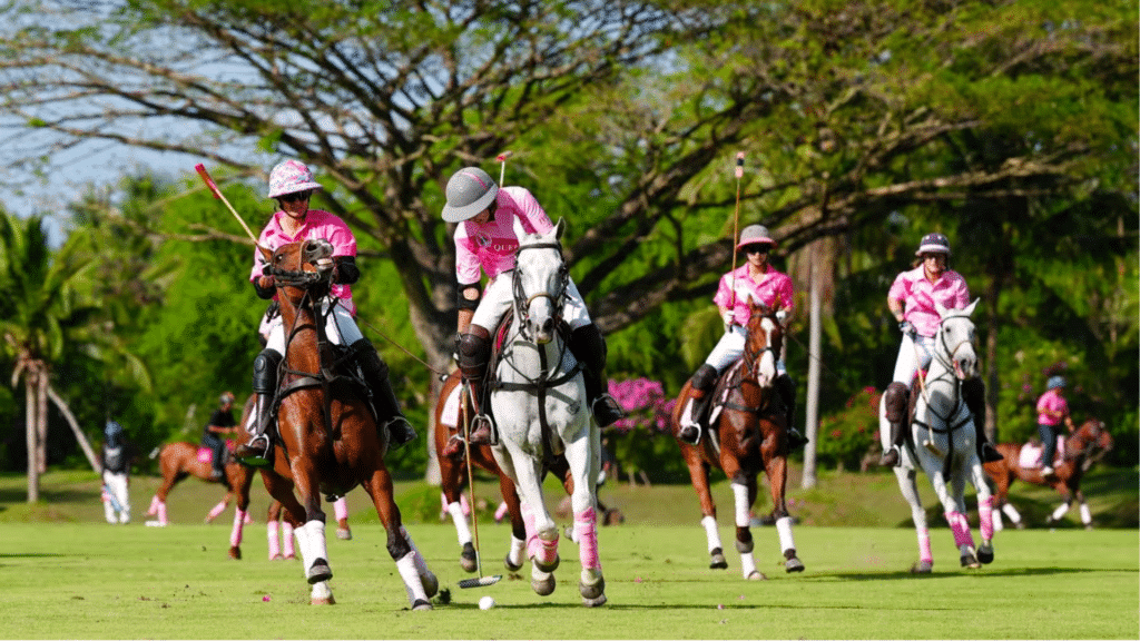 Thai Polo