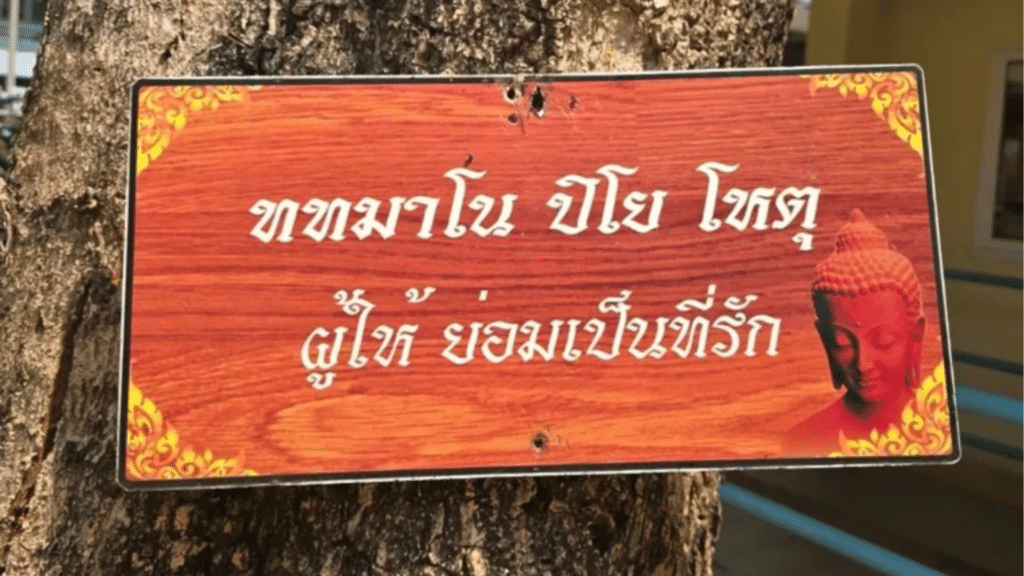ปาล์มมี่