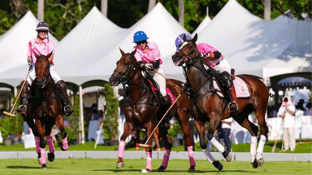 Thai Polo