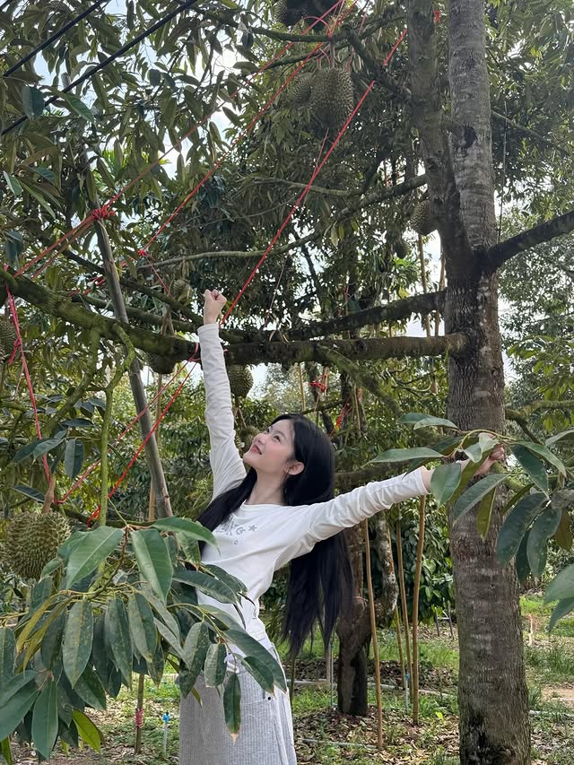 มาเบล PiXXiE
