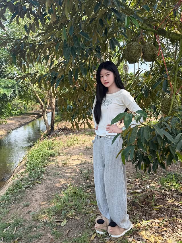 มาเบล PiXXiE
