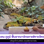 เคน ภูภูมิ