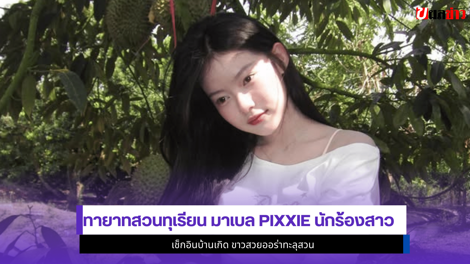 มาเบล PiXXiE