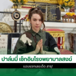 ปาล์มมี่