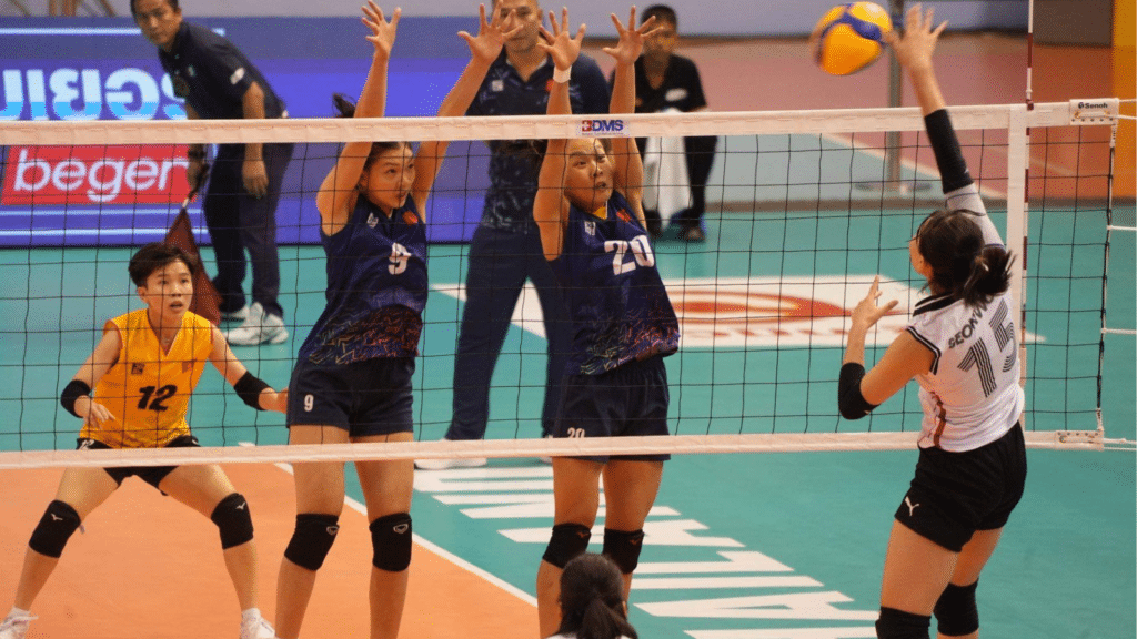 วอลเลย์บอล