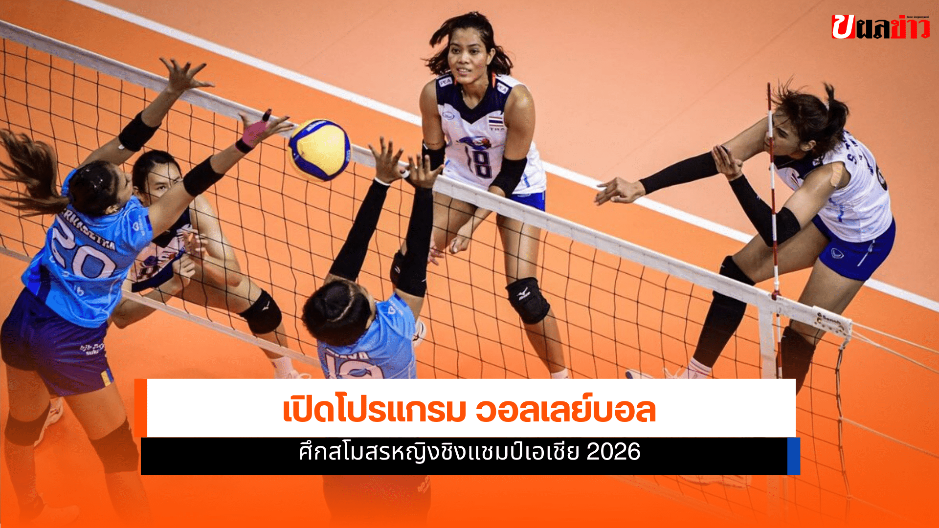 วอลเลย์บอล