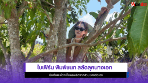 ใบเฟิร์น พิมพ์ชนก