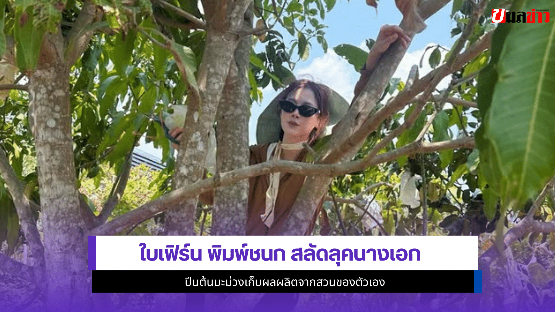 ใบเฟิร์น พิมพ์ชนก