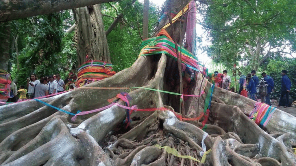 เลขเด็ดปฏิทินคำชะโนด