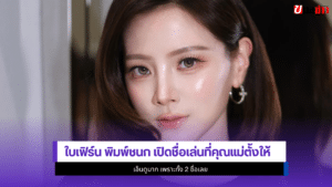 ใบเฟิร์น พิมพ์ชนก