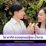 ไผ่ พาทิศ