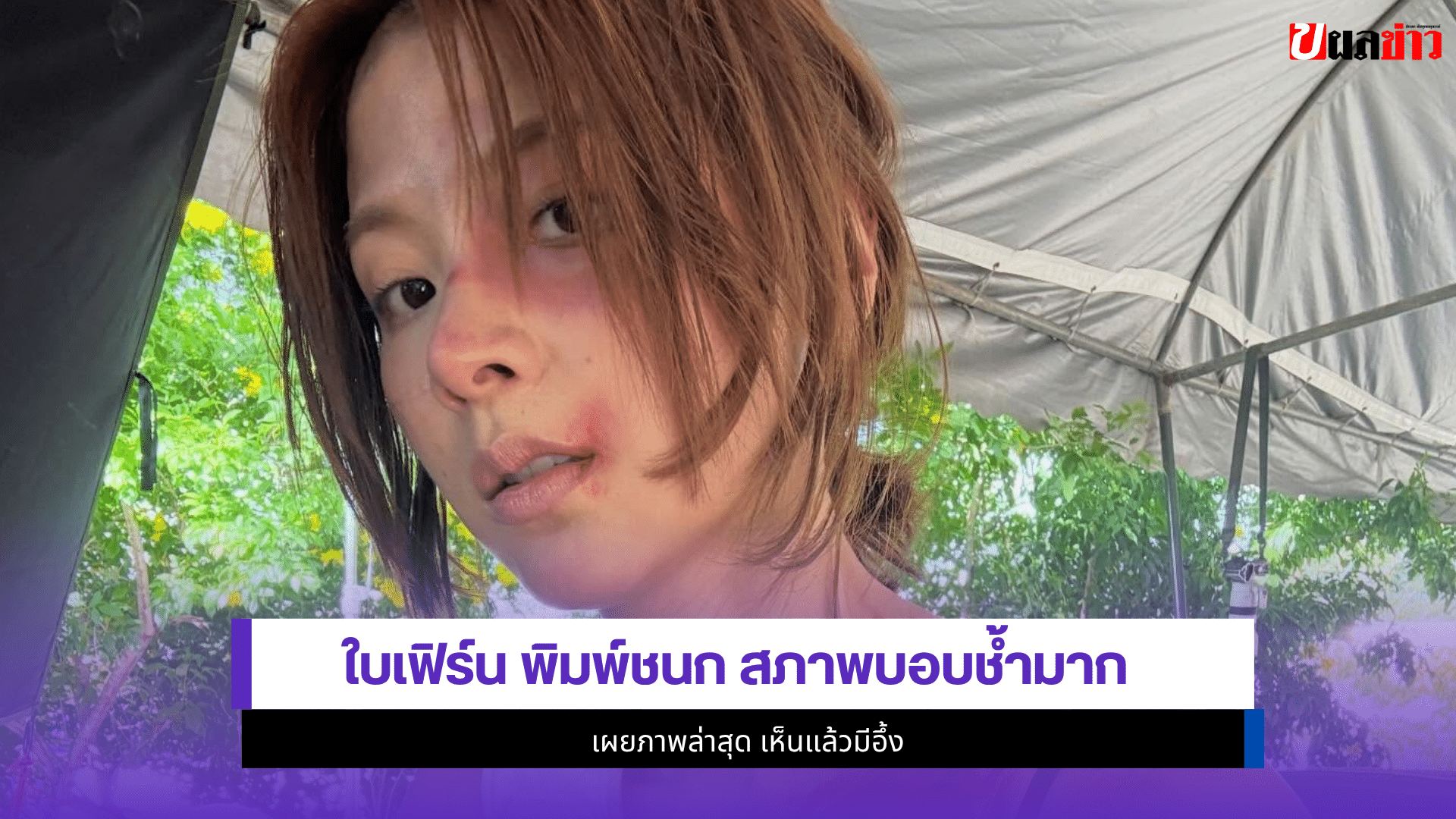 ใบเฟิร์น พิมพ์ชนก