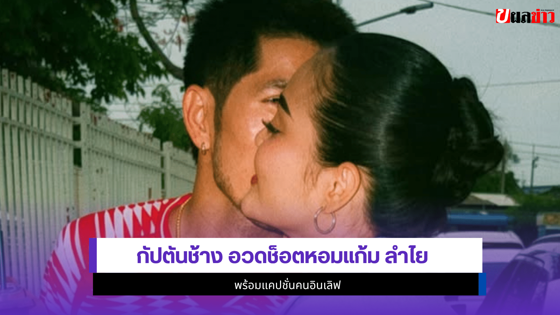 กัปตันช้าง
