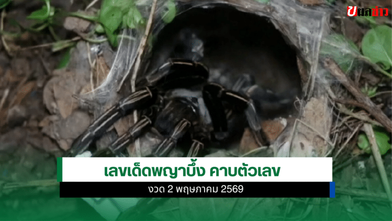 เลขเด็ดพญาบึ้ง