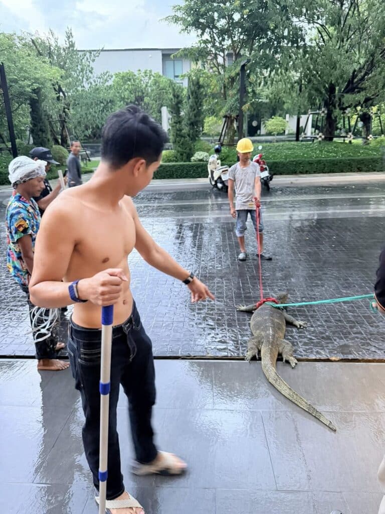 เลขเด็ดเจนนี่ยิว