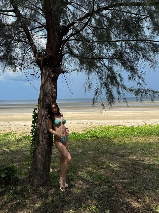 ชิปปี้ ศิรินทร์