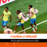 ทีมบราซิล
