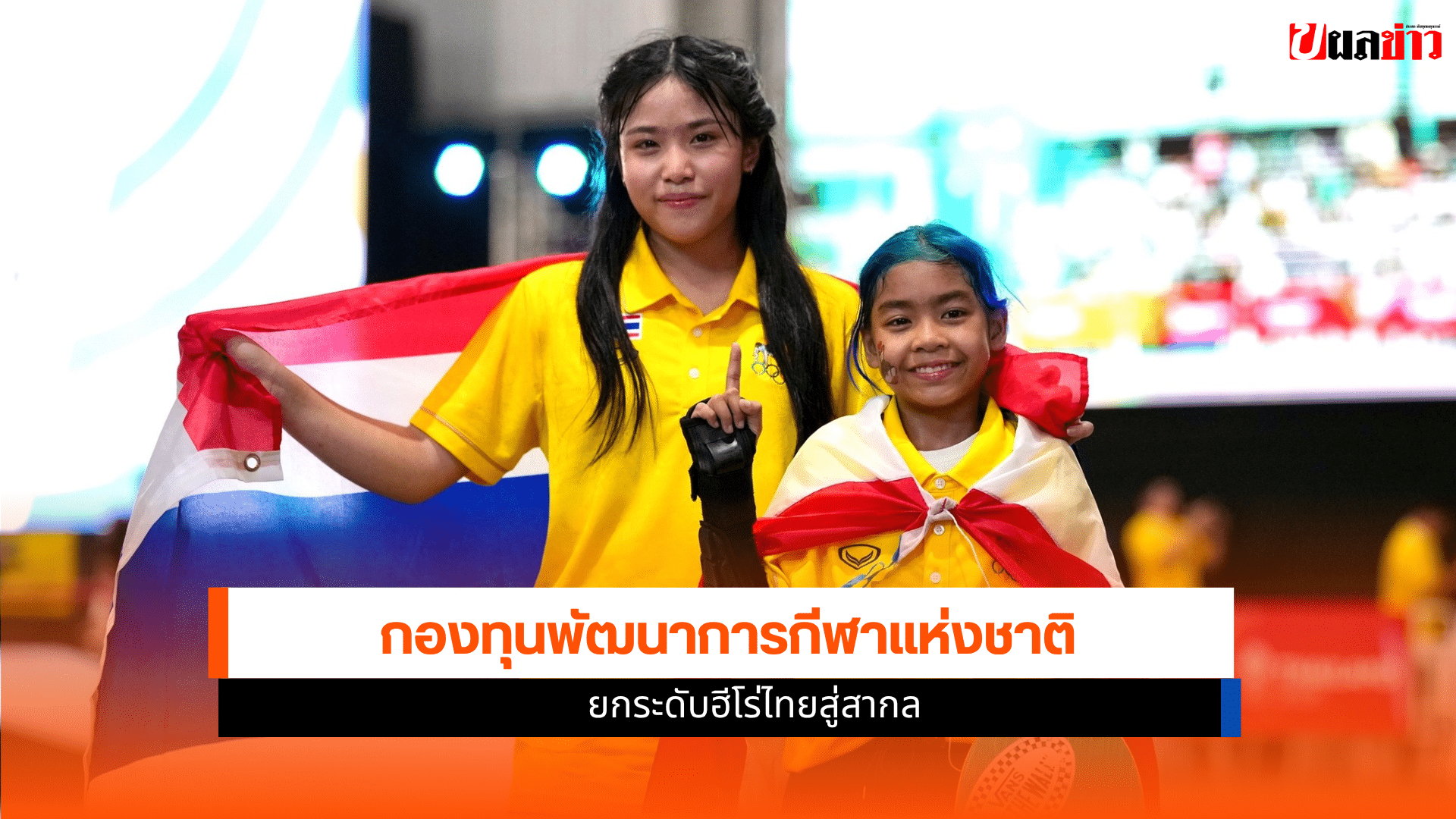 กองทุนพัฒนาการกีฬา