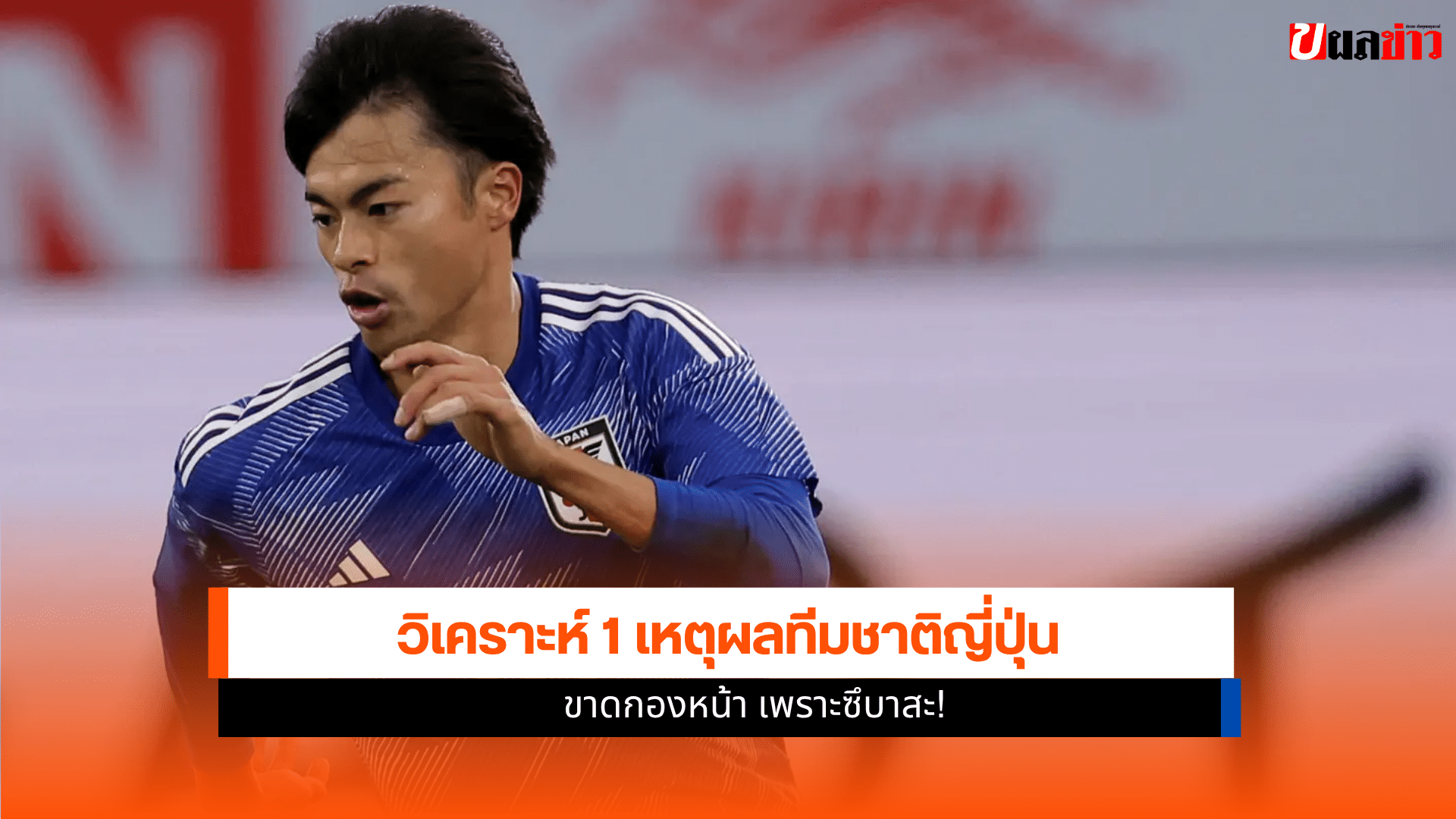 ทีมชาติญี่ปุ่น