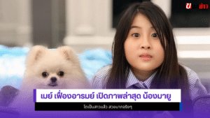 เมย์ เฟื่องอารมย์