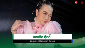 เลขเด็ด ตุ๊กกี้