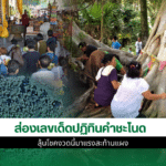 เลขเด็ดปฏิทินคำชะโนด
